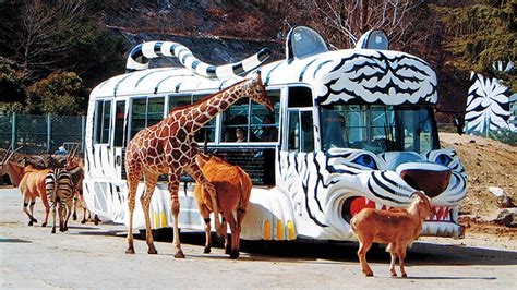 群馬サファリパーク 事故 と 動物たちの未来