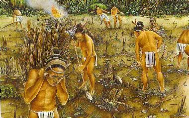 The Great Maize Uprising in 3rd Century Mexico: Agricultural Innovation and Shifting Power Dynamics within Mayan Societies